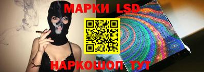 прущие грибы Новозыбков