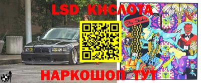 прущие грибы Новозыбков
