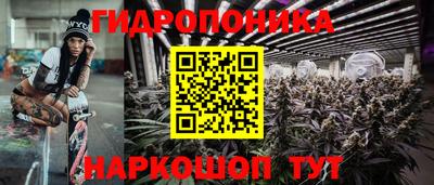 соль ск Новодвинск