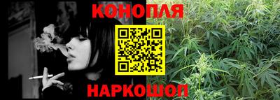 прущие грибы Новозыбков