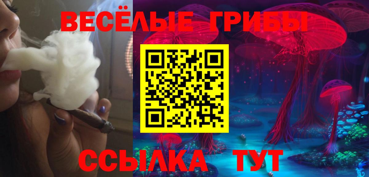 Новошахтинск  Псилоцибиновые грибы мицелий  как найти   Вход с VPN 